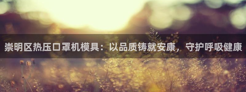 易倍申服用方法：崇明区热压口罩机模具：以品质铸就安康，守