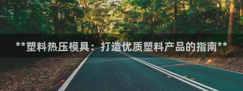 易倍达怎么样：**塑料热压模具：打造优质塑料产品的指南*