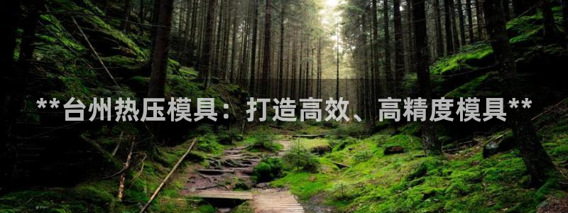 武汉易倍捷科技有限公司：**台州热压模具：打造高效、高精