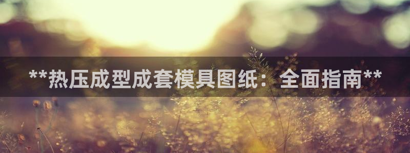 emc低频不过：**热压成型成套模具图纸：全面指南**