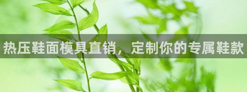 易倍网络技术有限公司是干嘛的