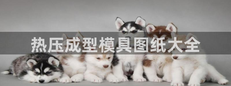 emc易倍全站