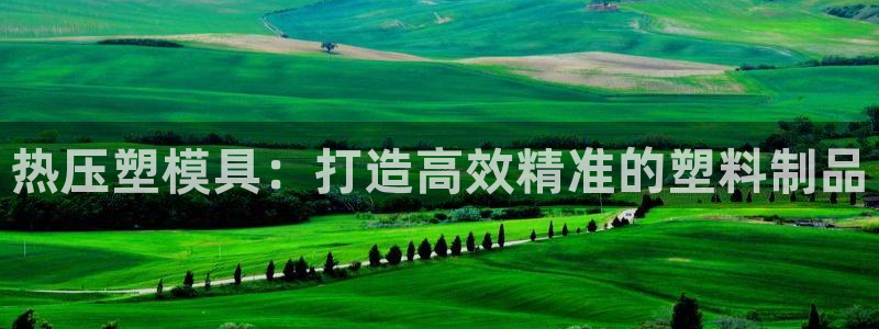 emc平台：热压塑模具：打造高效精准的塑料制品