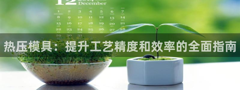 易倍单词官方网站登录：热压模具：提升工艺精度和效率的全面