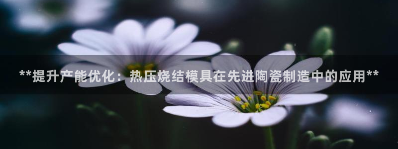 易倍康简历：**提升产能优化：热压烧结模具在先进陶瓷制造