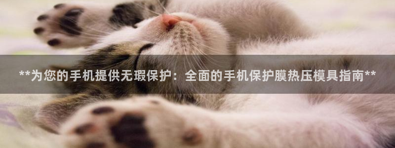 emc参数：**为您的手机提供无瑕保护：全面的手机保护膜
