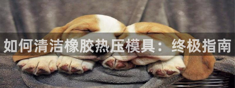 上海易倍投资有限公司