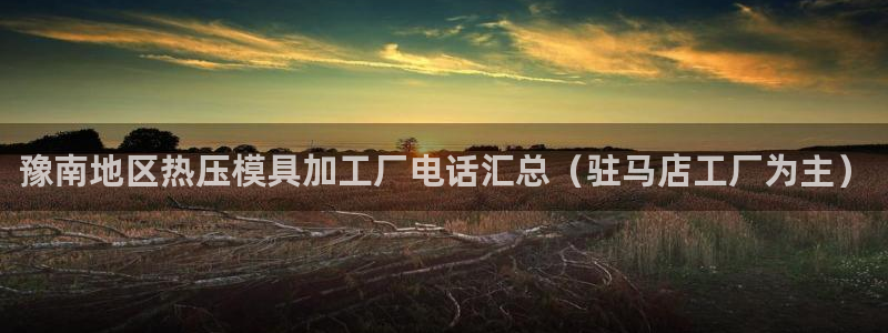 上海易倍投资有限公司