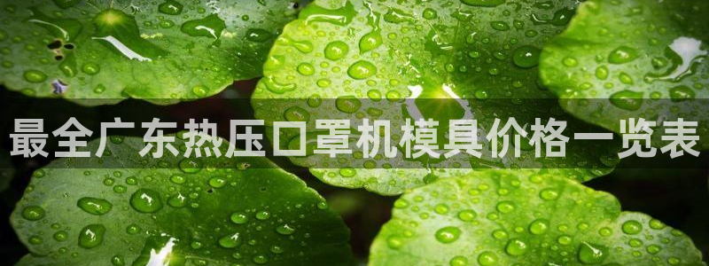 易倍单词登录平台