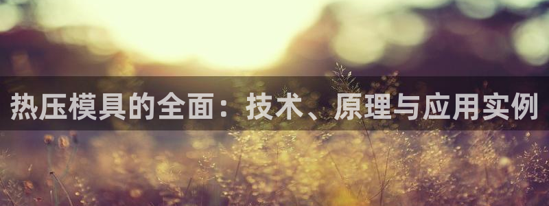 易倍网络技术有限公司招聘：热压模具的全面：技术、原理与应