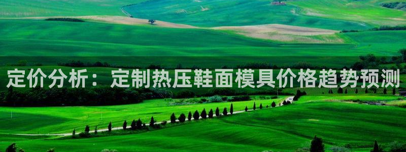 emc易倍下载：定价分析：定制热压鞋面模具价格趋势预测