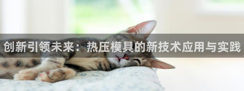 易倍网络技术有限公司怎么样：创新引领未来：热压模具的新技