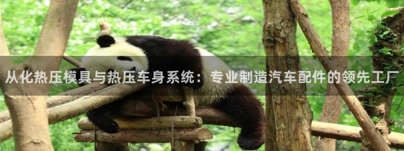 易倍申怎么样