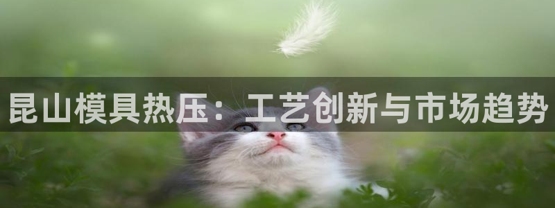易倍申上市时间：昆山模具热压：工艺创新与市场趋势