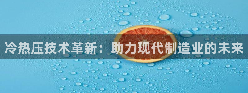 易倍申片说明书