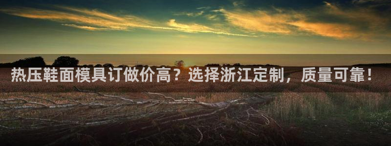 易倍易趣网：热压鞋面模具订做价高？选择浙江定制，质量可靠