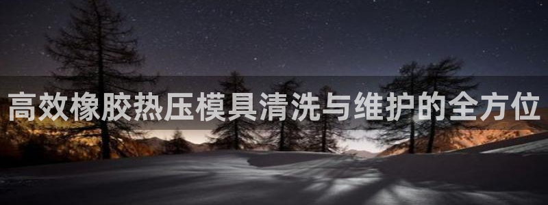 易倍网络技术有限公司：高效橡胶热压模具清洗与维护的全方位