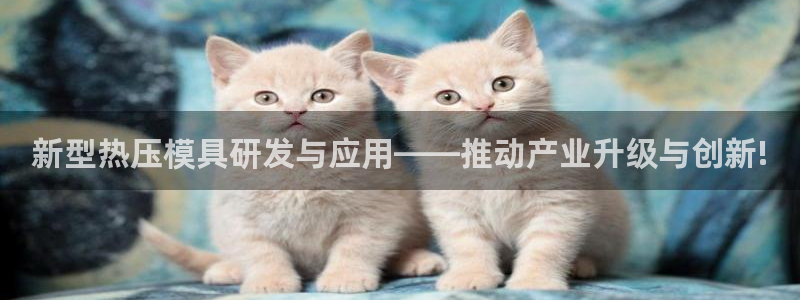 易倍纤怎么使用：新型热压模具研发与应用——推动产业升级与