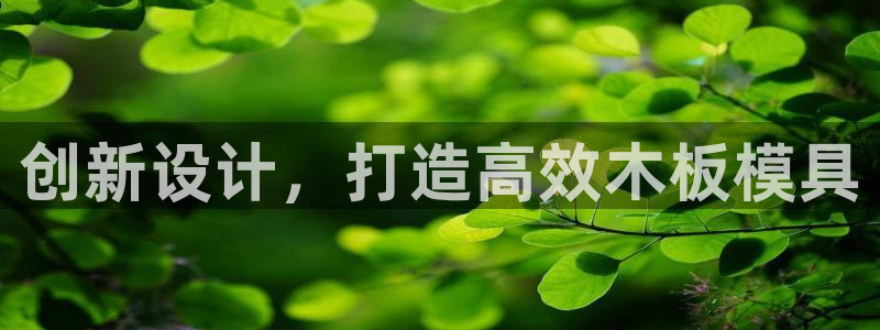 emc易倍官方平台：创新设计，打造高效木板模具