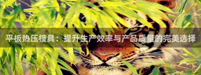 易倍单词登录网站：平板热压模具：提升生产效率与产品质量的