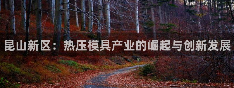 emc登录网站：昆山新区：热压模具产业的崛起与创新发展