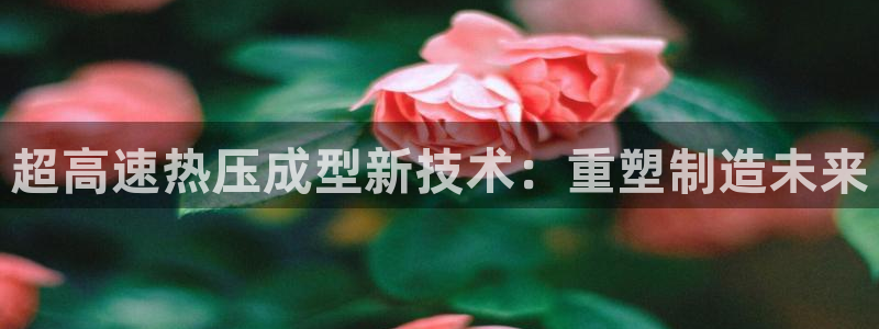 EMC易倍官网招聘
