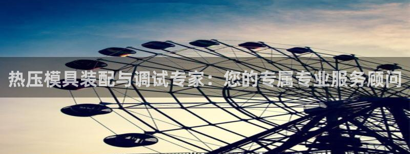 易倍单词官方网站的：热压模具装配与调试专家：您的专属专业