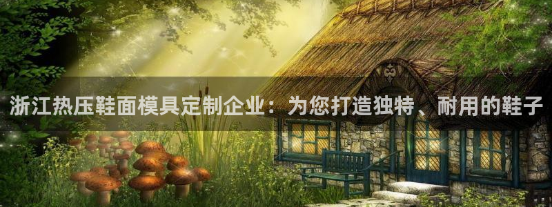 emc登录网站：浙江热压鞋面模具定制企业：为您打造独特、