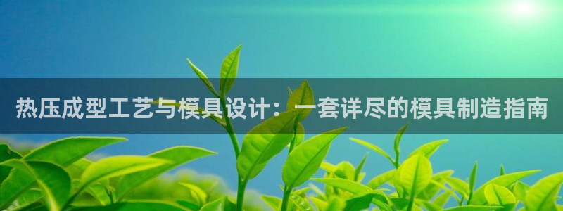 emc易倍：热压成型工艺与模具设计：一套详尽的模具制造指