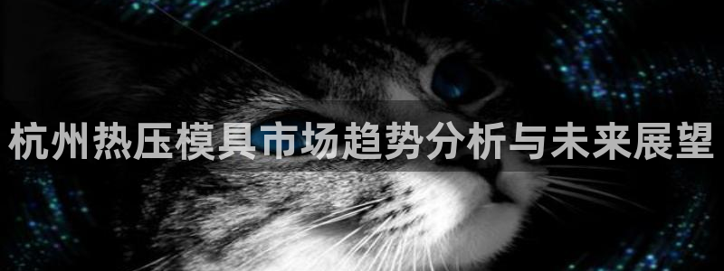 易倍电竞,有球必应：杭州热压模具市场趋势分析与未来展望