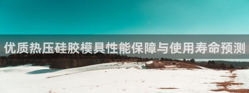 易倍网络技术有限公司是干嘛的：优质热压硅胶模具性能保障与
