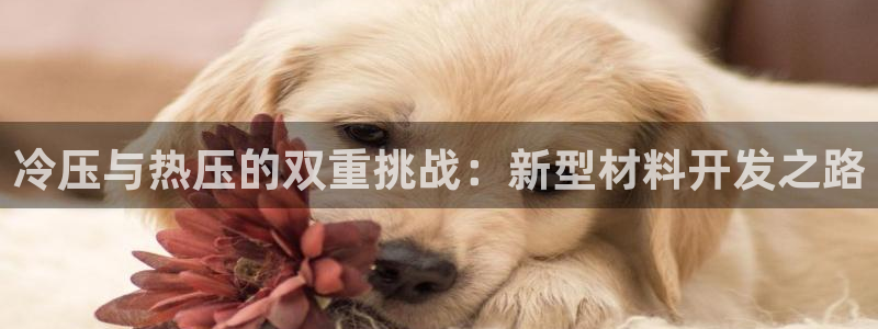 易倍单词登录网站：冷压与热压的双重挑战：新型材料开发之路