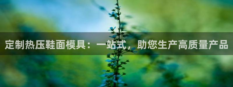 易倍申多少钱：定制热压鞋面模具：一站式，助您生产高质量产