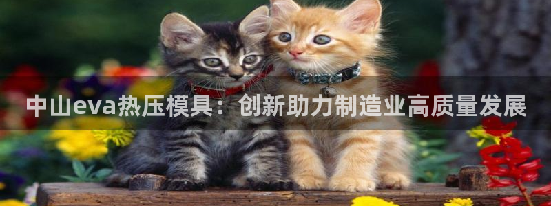 易倍申服用方法
