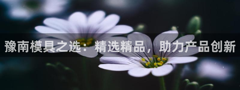 EMC倍频是什么意思：豫南模具之选：精选精品，助力产品创