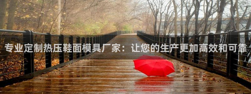 emc32软件安装：专业定制热压鞋面模具厂家：让您的生产