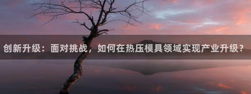 emc下载ios：创新升级：面对挑战，如何在热压模具领域