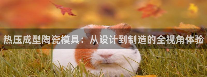 emc易倍官网首页：热压成型陶瓷模具：从设计到制造的全视
