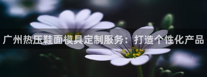 emcapp下载普通下载：广州热压鞋面模具定制服务：打造