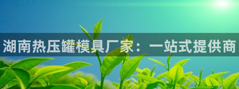emc 倍频：湖南热压罐模具厂家：一站式提供商