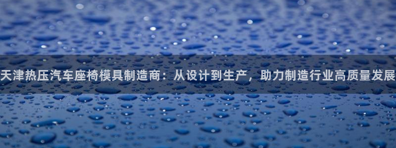 易倍企业管理软件：天津热压汽车座椅模具制造商：从设计到生