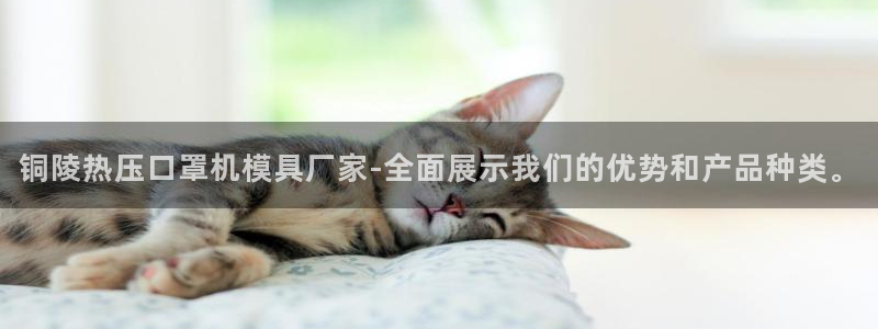 杭州易倍达科技有限公司怎么样：铜陵热压口罩机模具厂家-全