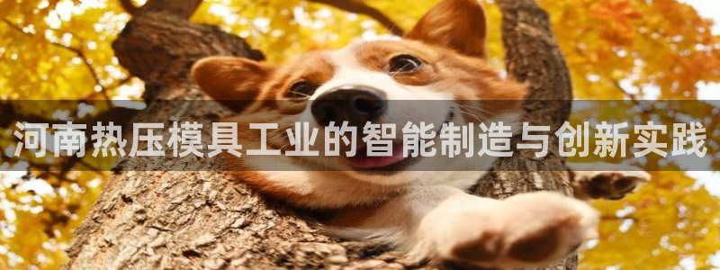 易倍纤减肥反弹不：河南热压模具工业的智能制造与创新实践