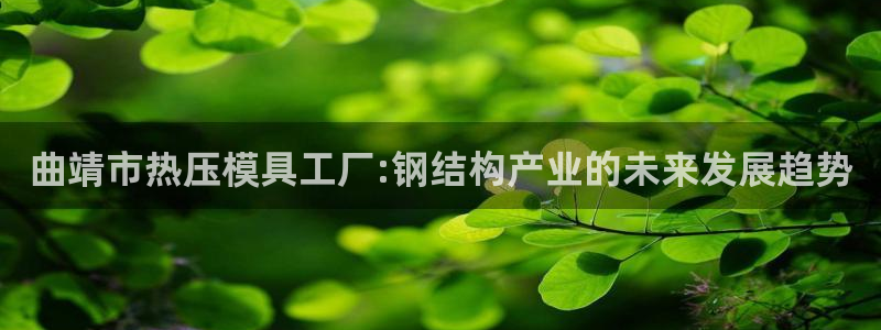 易倍申片说明书：曲靖市热压模具工厂:钢结构产业的未来发展