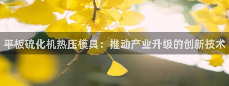 易倍纤减肥价格：平板硫化机热压模具：推动产业升级的创新技