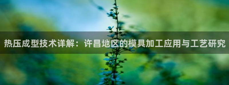 易倍app官网下载安装：热压成型技术详解：许昌地区的模具