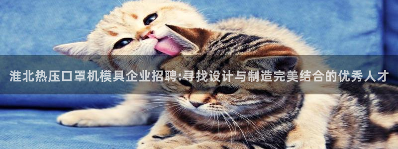 emc易倍ios官网：淮北热压口罩机模具企业招聘:寻找设