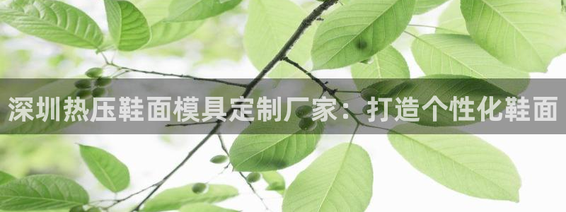 emc易倍的服务优势：深圳热压鞋面模具定制厂家：打造个性