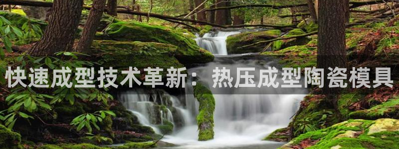 emc易倍官网app官网：快速成型技术革新：热压成型陶瓷