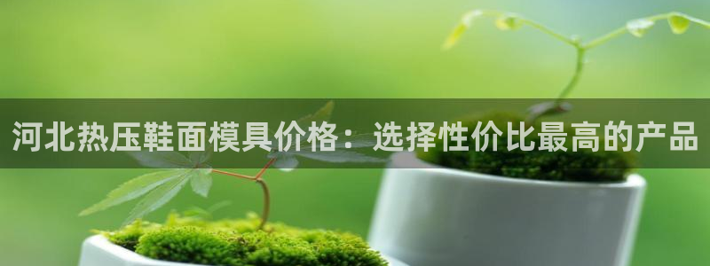 emc易倍官网登录入口：河北热压鞋面模具价格：选择性价比